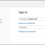 Apple ID password