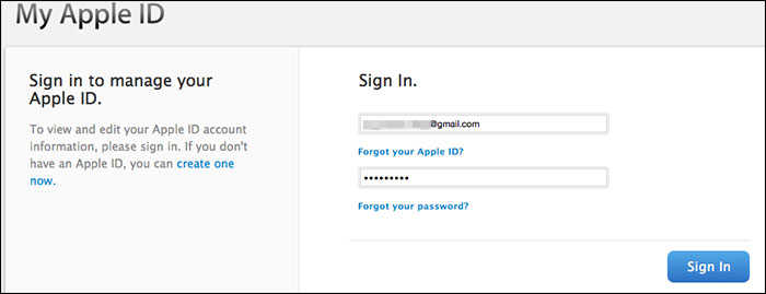 Apple ID password