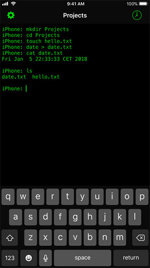 terminal exec