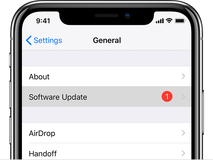ios iphone x settings general software update cropped - veloce - Mr.Apple