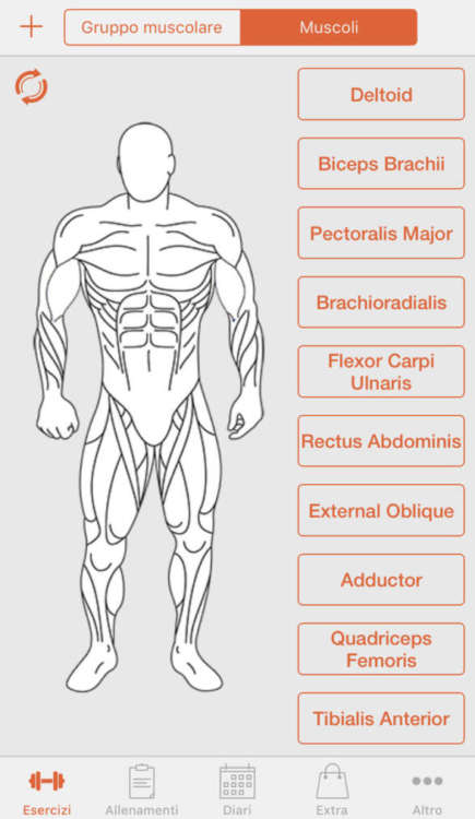 Fitness Point Pro vi permette di allenare ogni singolo muscolo.