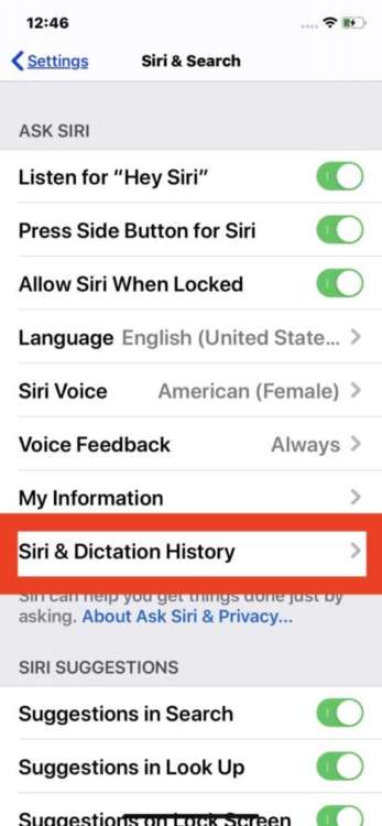 Rimuovere registrazioni da Siri: punto 2