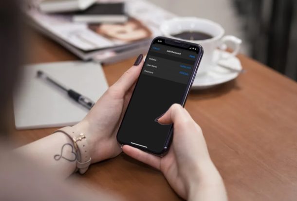 aggiungere manualmente le password su iPhone e iPad