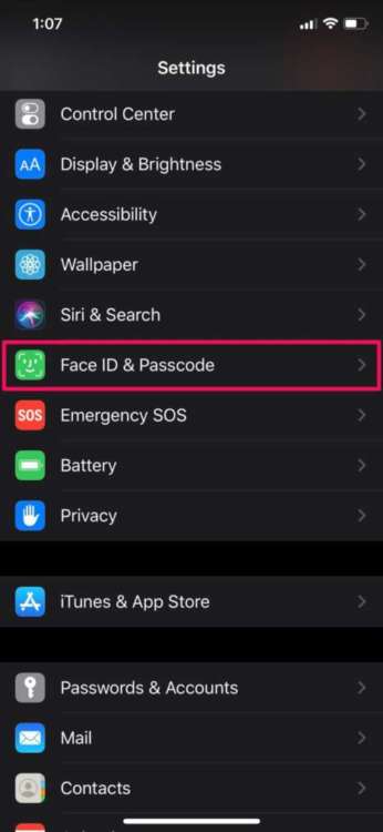 Impostare una password alfanumerica su iPhone faceid or touchid 