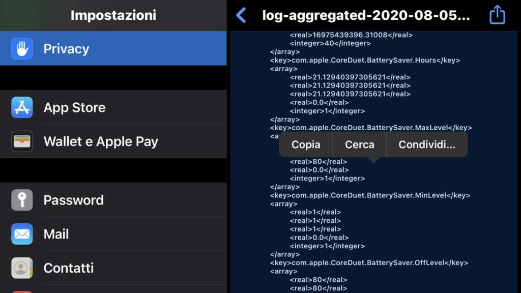 Cicli di ricarica della batteria dell'iPhone copia informazioni